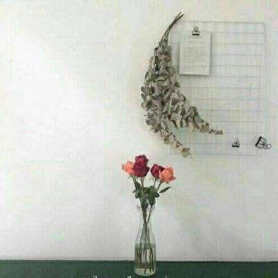 菲律宾涉台言论